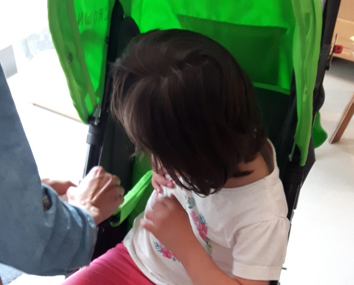 Ein neuer Buggy für Medina