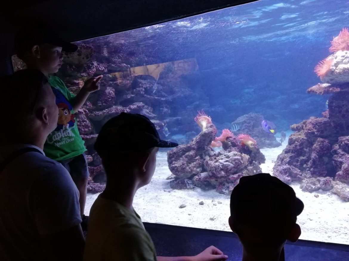 Nikita, Matwey + Miron haben einen weiteren Ferien-Spaß