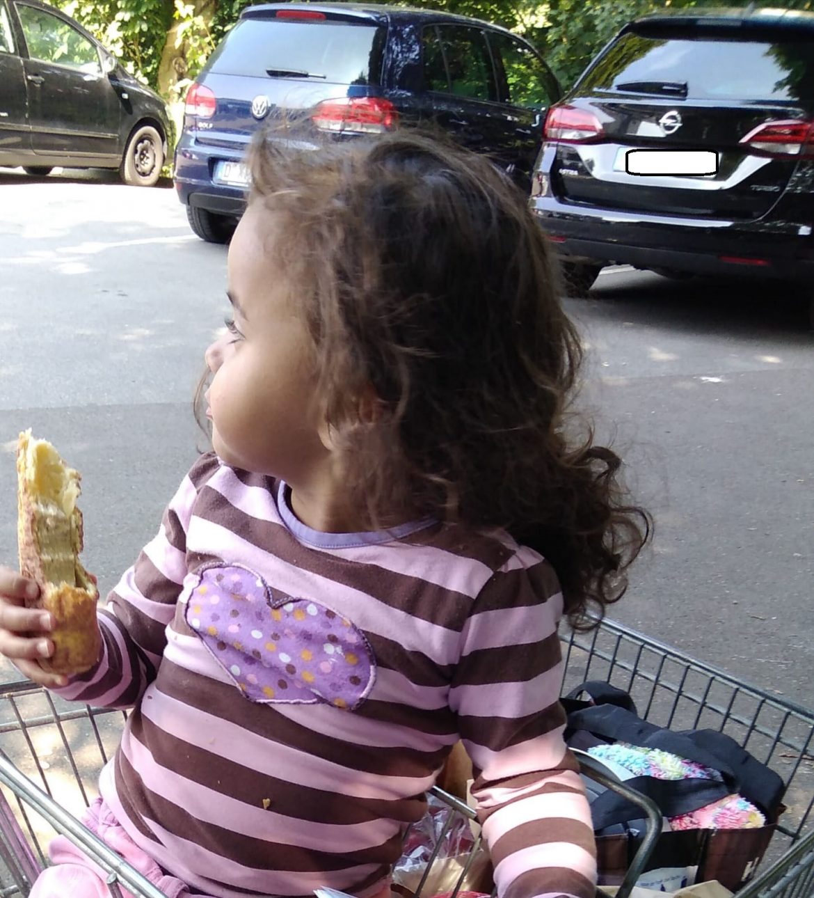 Lebensmitteleinkauf für eine Familie mit 4 Kindern