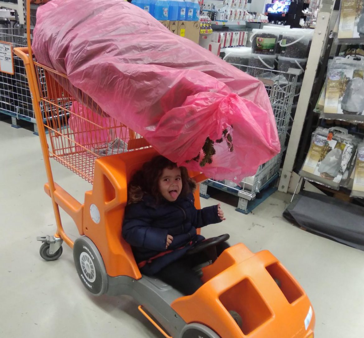 Eine ganz eigene Art einen Tannenbaum zu kaufen