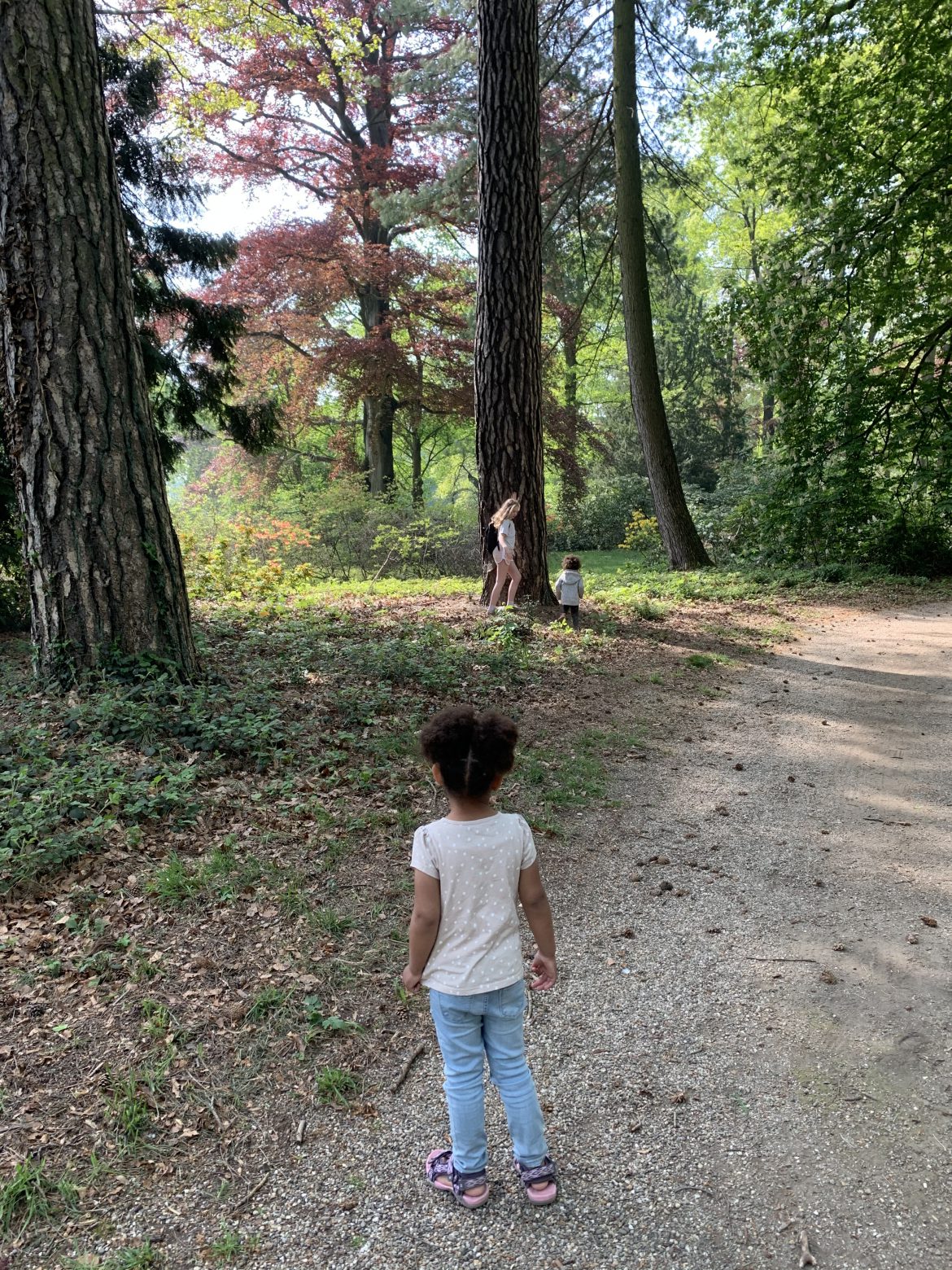 Einen Ausflug in die Natur – Bäume umarmen