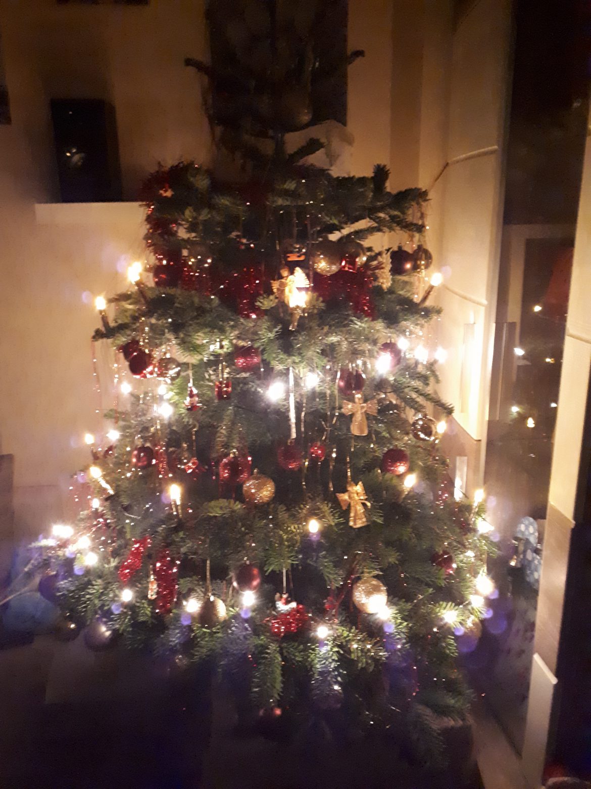 Firma MAILER STAHL……DANKE… für den Tannenbaum + das Weihnachtsessen für viele unserer Familien
