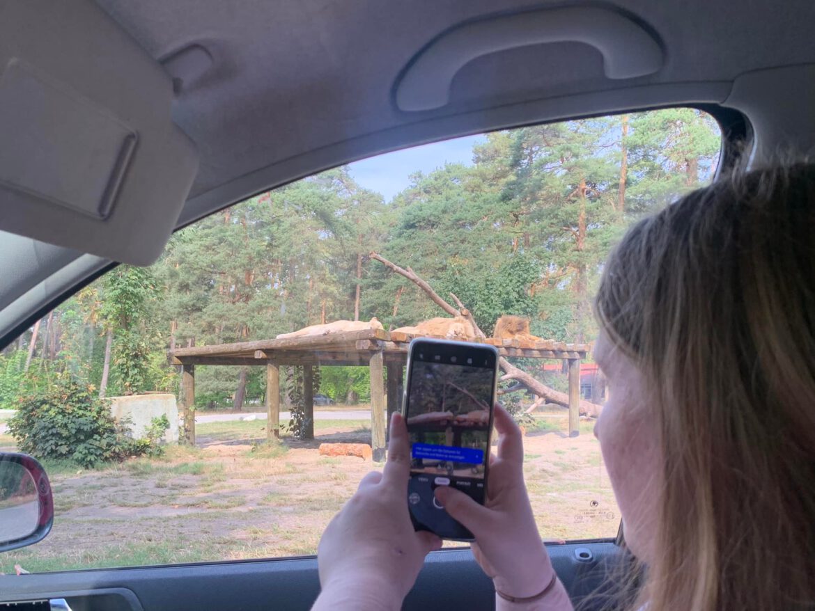 Zum Ende der Ferien ein Besuch im Safari-Land Stukenbrock