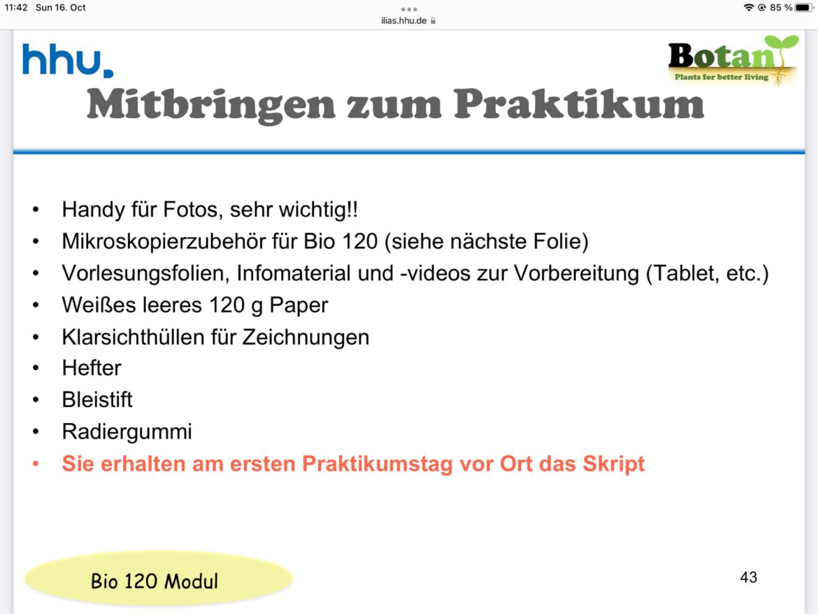 Materialien für das Praktikum von Paula