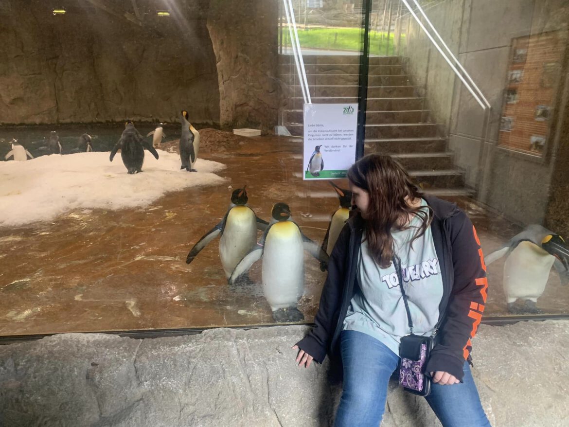 Ein wunderschöner Tag mit den Kaiserpinguinen im Wuppertaler Zoo
