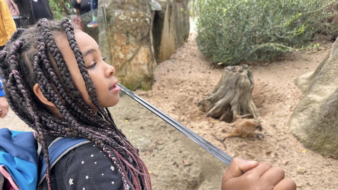 Am letzten Tag der Ferien ging es in den Krefelder ZOO
