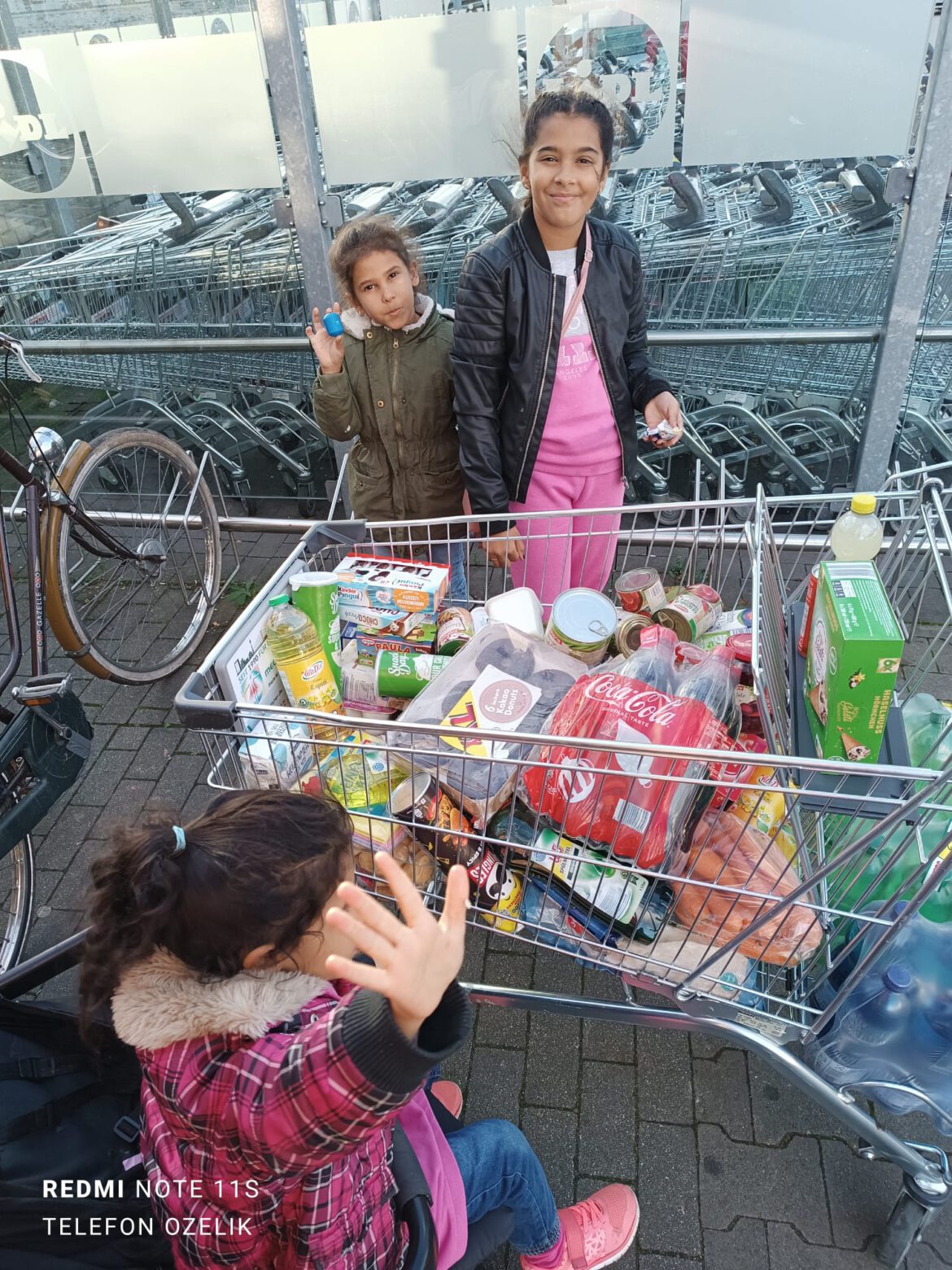 Lebensmitteleinkauf, die Geschwister haben beim Einkauf geholfen