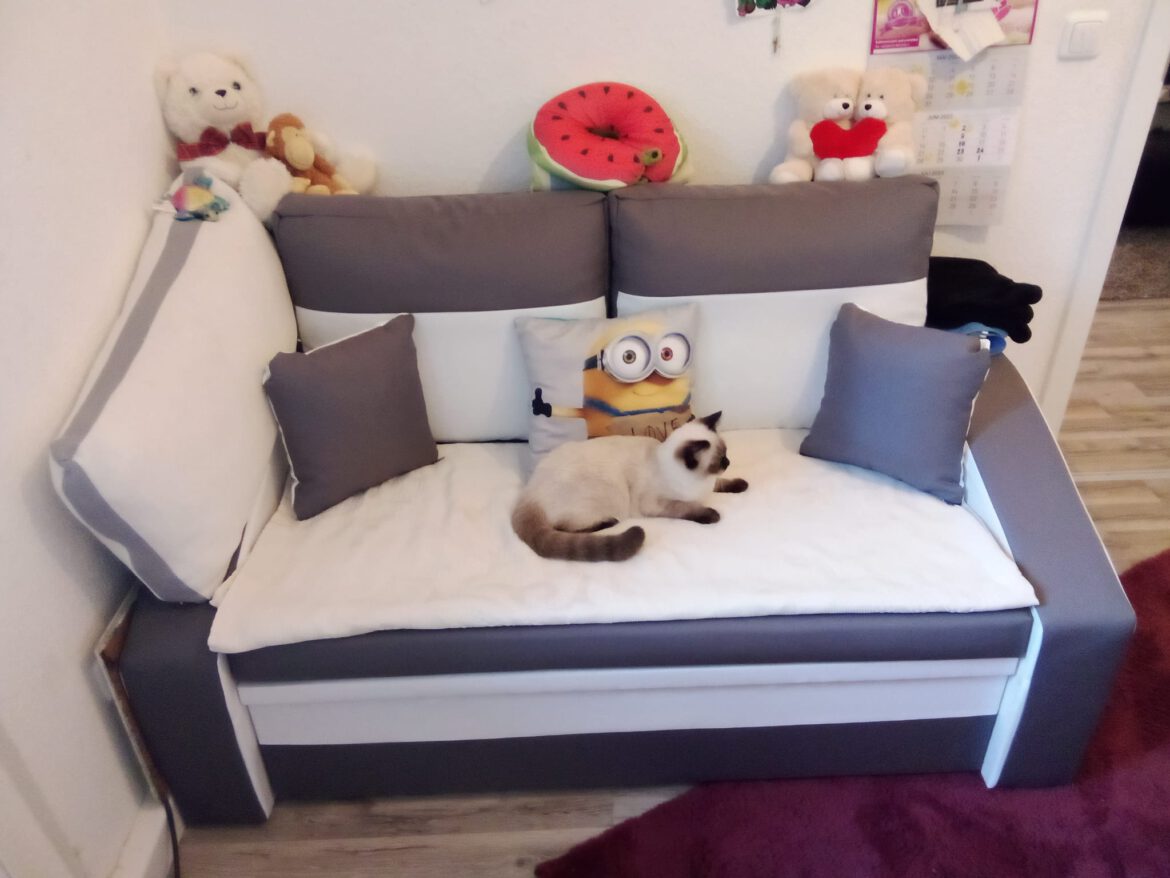 Ein neues Bett für Armando