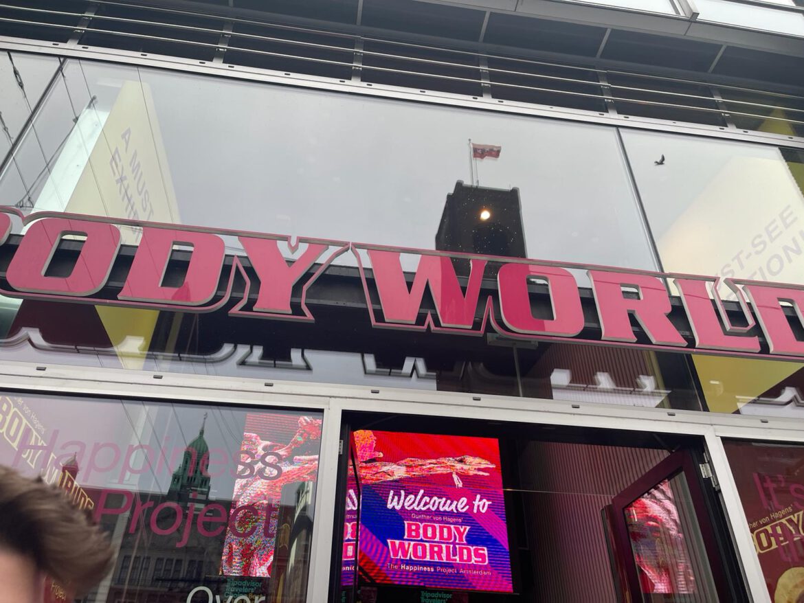 Im Rahmen ihrer Ausbildung fuhr Lara mit der Schulklasse ins BODY WORLD, Amsterdam