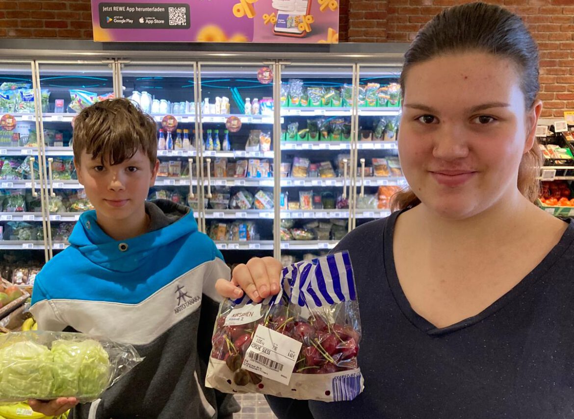 Lebensmitteleinkauf mit frischem Obst- + Gemüse