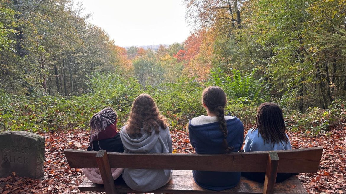 Herbstlicher Spaziergang im Wald