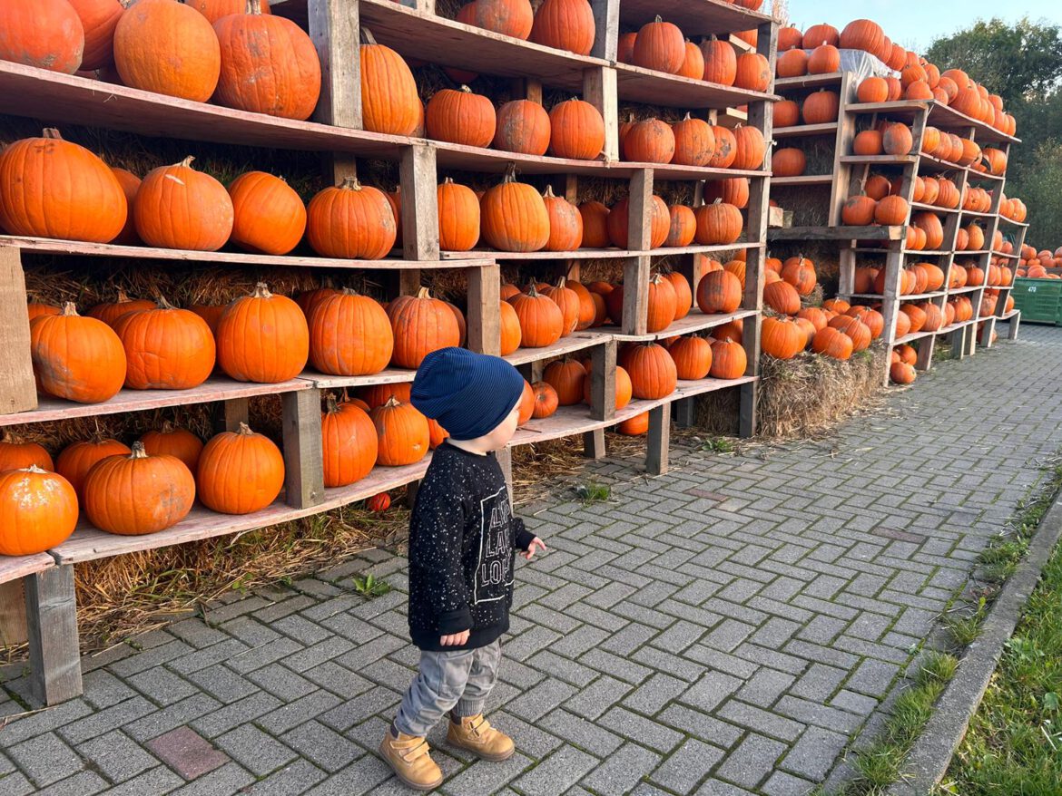 Passend zu Halloween – ein Besuch auf dem Kürbis-Hof