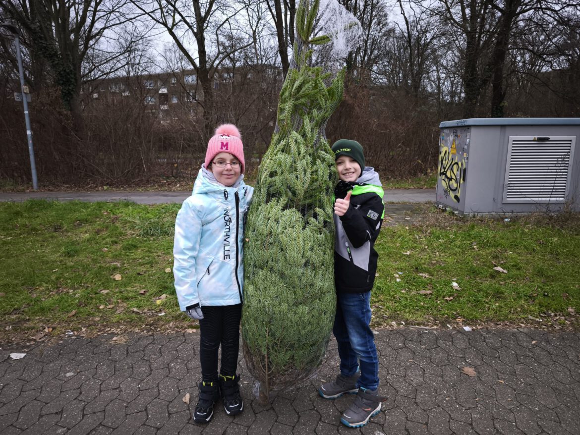 So fleißig haben unsere Kinder beim Baumkauf- u. schmücken geholfen