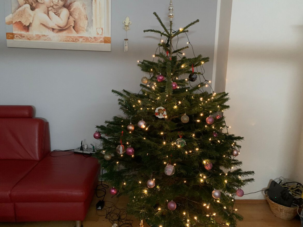 So schön waren die Tannenbäume unserer Familien