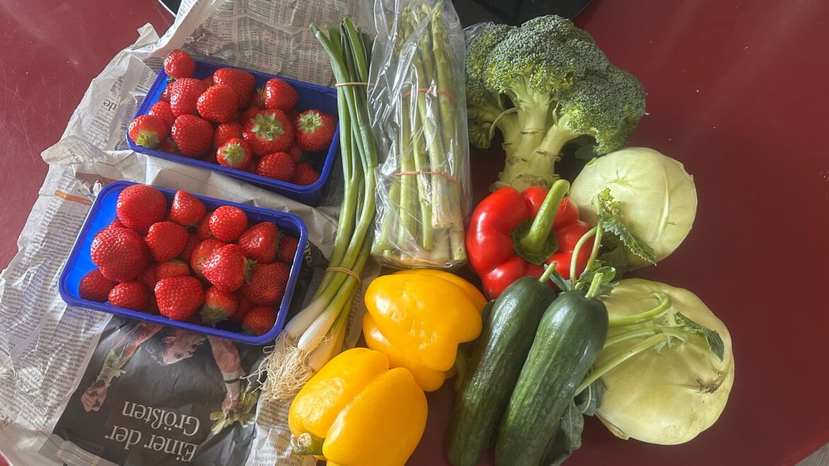 Danke Obst- und Gemüse-Paten+Patinnen