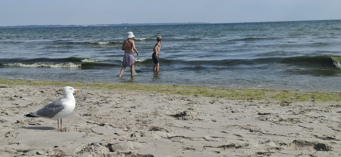 Auch Joanna und Jason können nach den Ferien einiges erzählen…