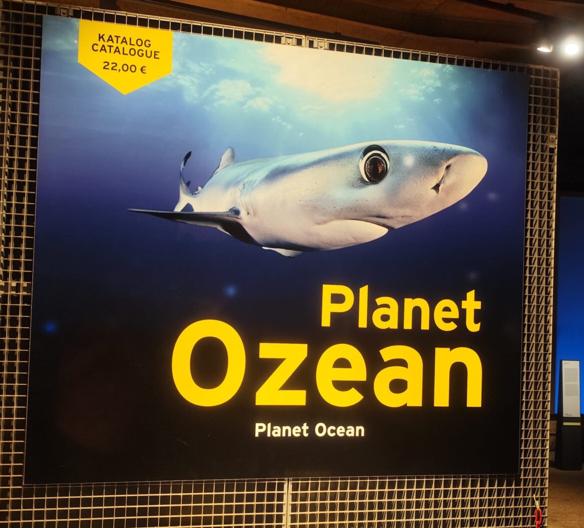 Ein letzter Ausflug in den Ferien