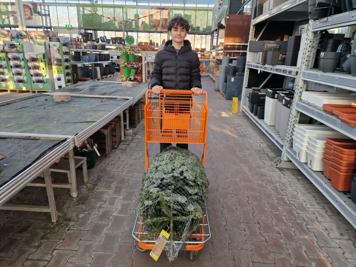 Die ersten geschmückten Tannenbäume unserer Familien… ein kleiner Gruß zu Weihnachten