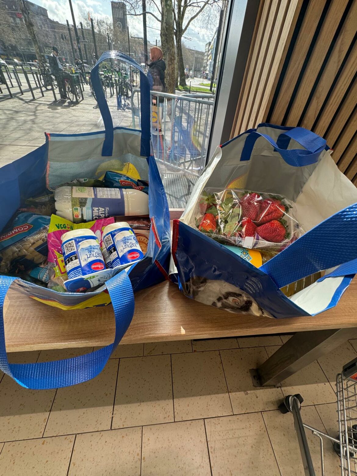 Lebenmittel-Gutschein für die Mama von 5 Kindern