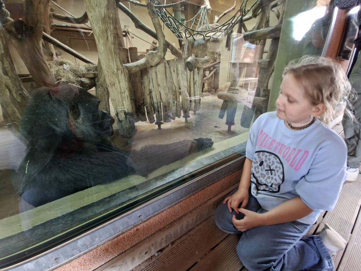 „Zeitgeschenk“. Zoo Krefeld wurde eingelöst